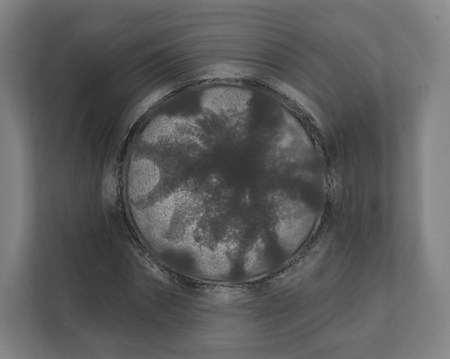 X0000112160874200908211432