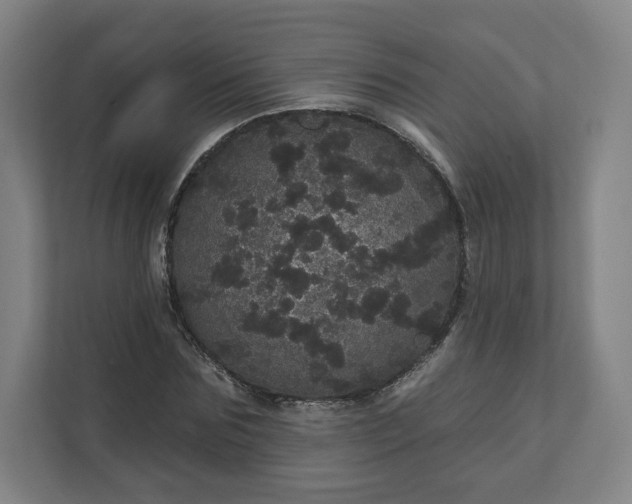 X0000112160875200908211432