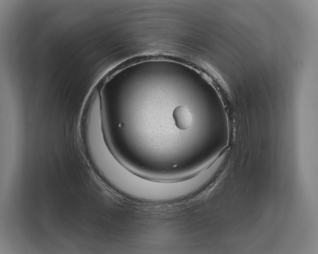 X0000112160876200908211432