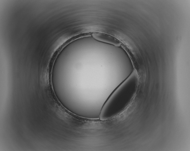 X0000112160877200908211432
