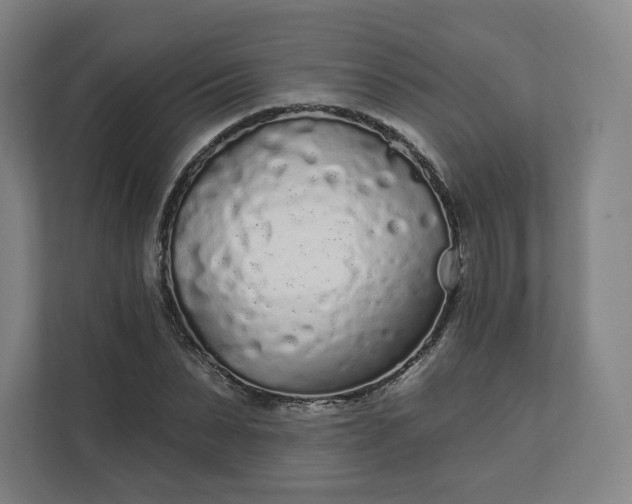 X0000112160879200908211432
