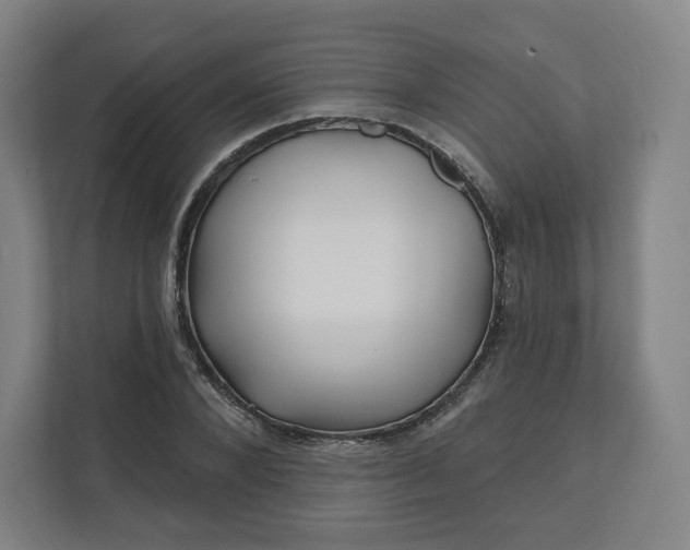 X0000112160880200908211432