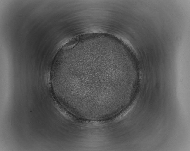 X0000112160881200908211432