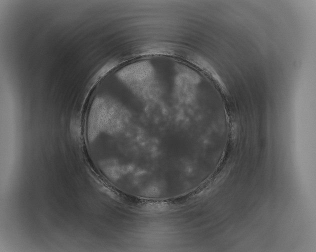X0000112160882200908211432