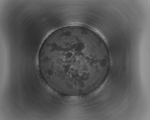 X0000112160883200908211432