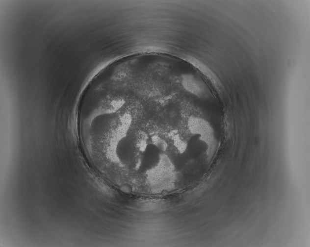 X0000112160886200908211432