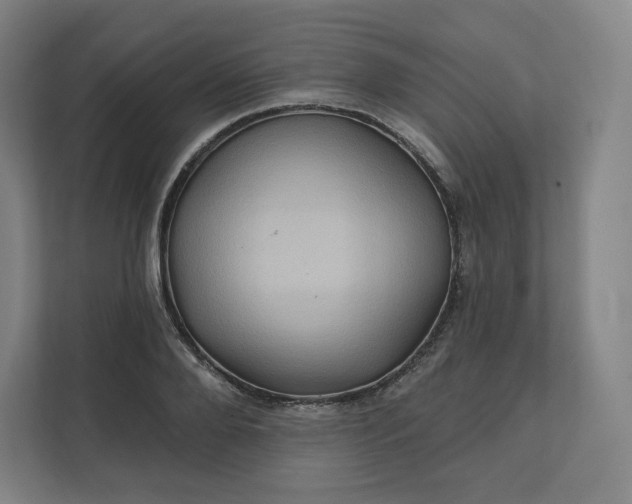 X0000112160888200908211432
