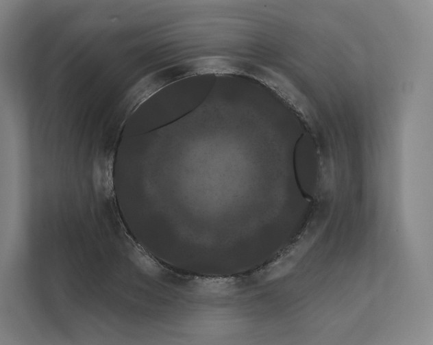X0000112160889200908211432