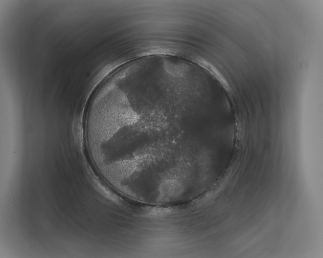 X0000112160890200908211432
