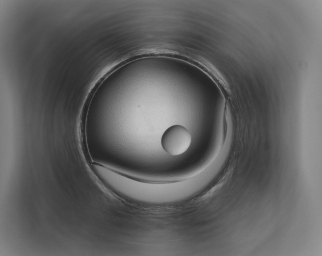 X0000112160893200908211432