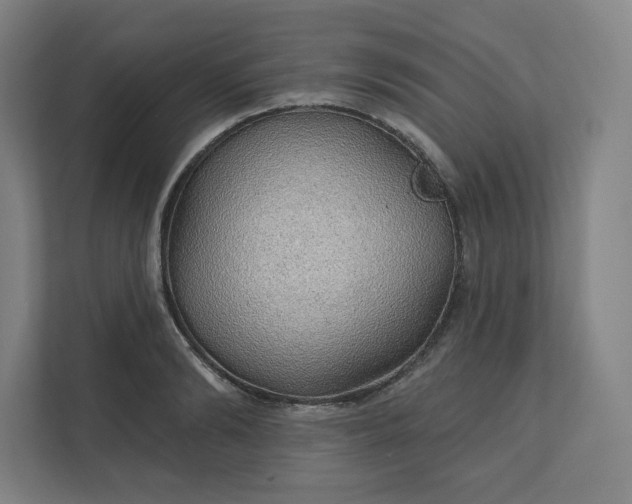 X0000112160894200908211432