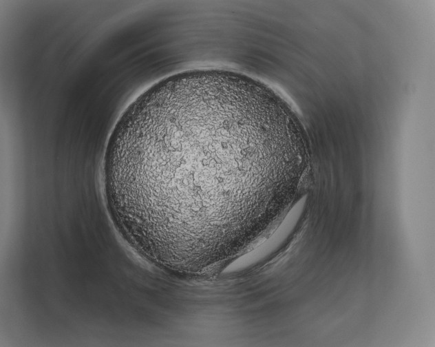 X0000112160895200908211432