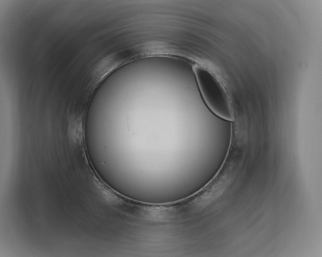 X0000112160897200908211432