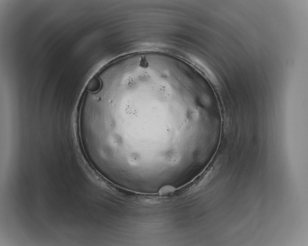 X0000112160899200908211432