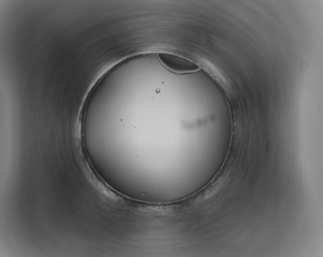 X0000112160900200908211432