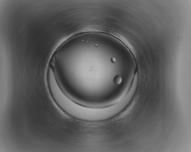 X0000112160901200908211432