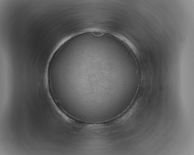 X0000112160902200908211432