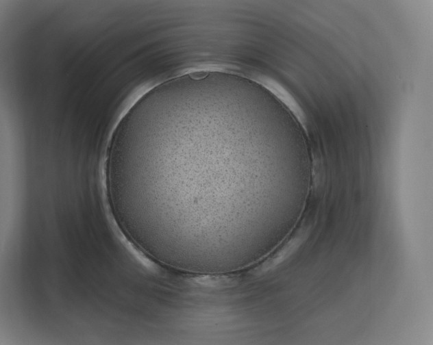 X0000112160906200908211432