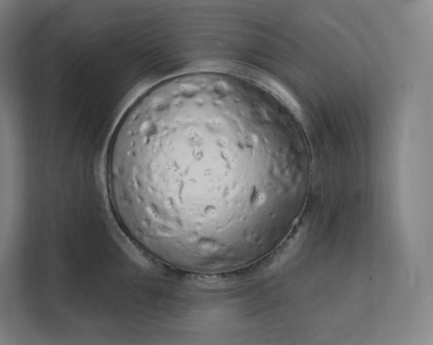 X0000112160907200908211432
