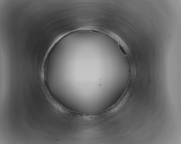 X0000112160908200908211432
