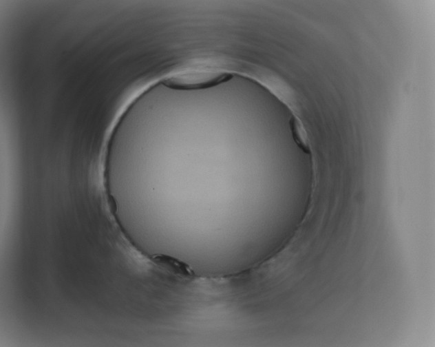 X0000112160912200908211432