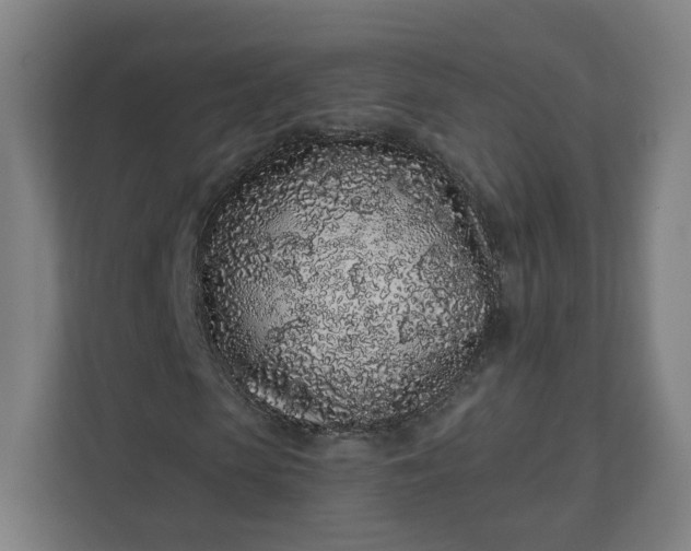 X0000112160913200908211431