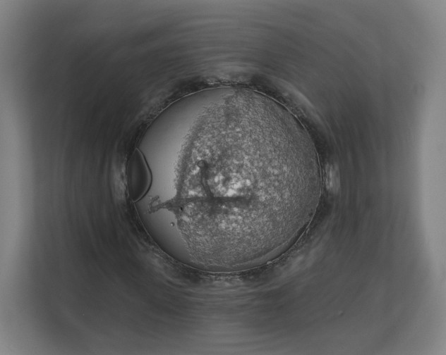 X0000112160915200908211431