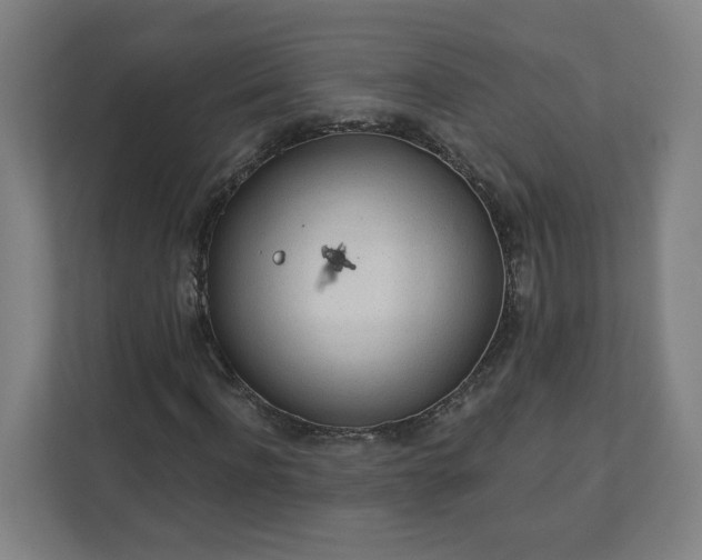 X0000112160916200908211431