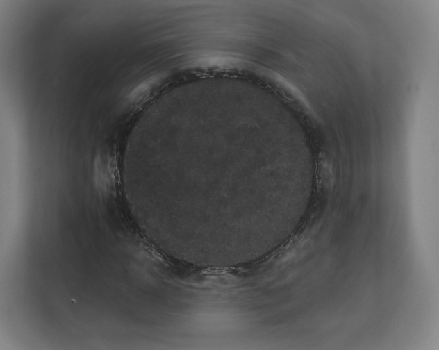 X0000112160918200908211431