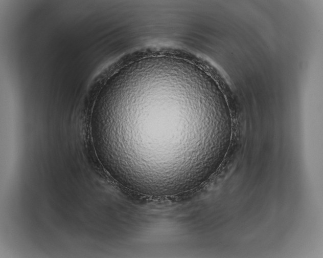 X0000112160919200908211431