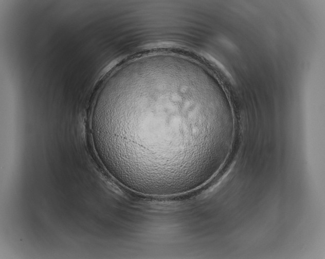 X0000112160921200908211431