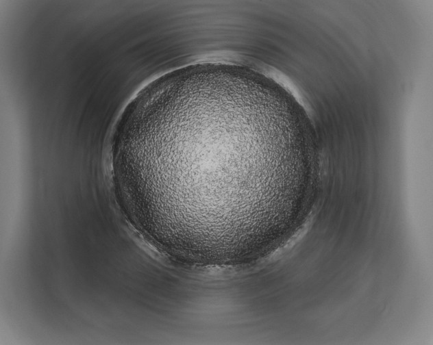 X0000112160923200908211431
