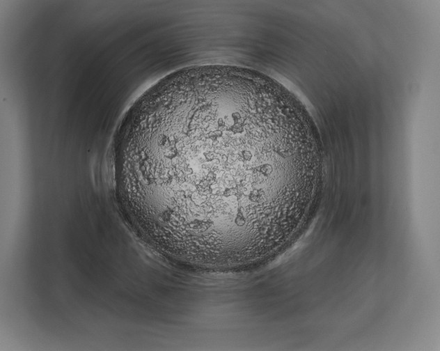 X0000112160925200908211431