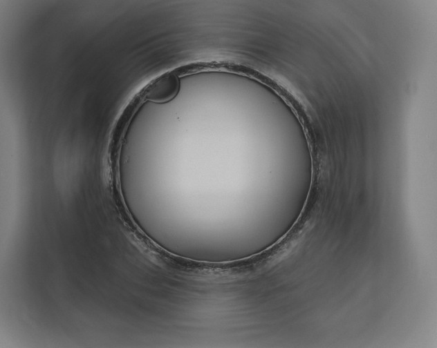 X0000112160927200908211431