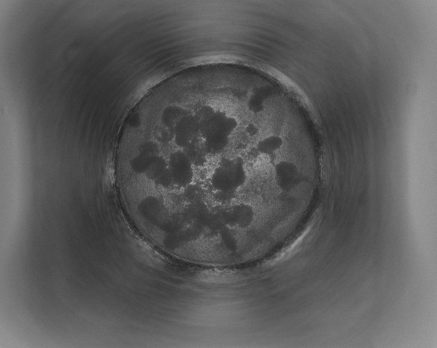 X0000112160929200908211431