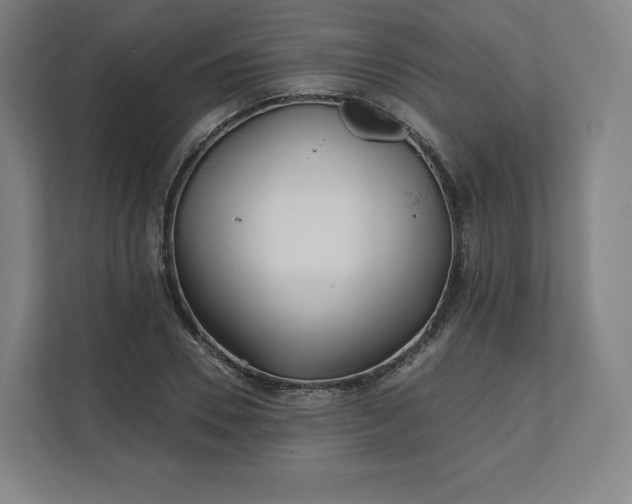 X0000112160930200908211431