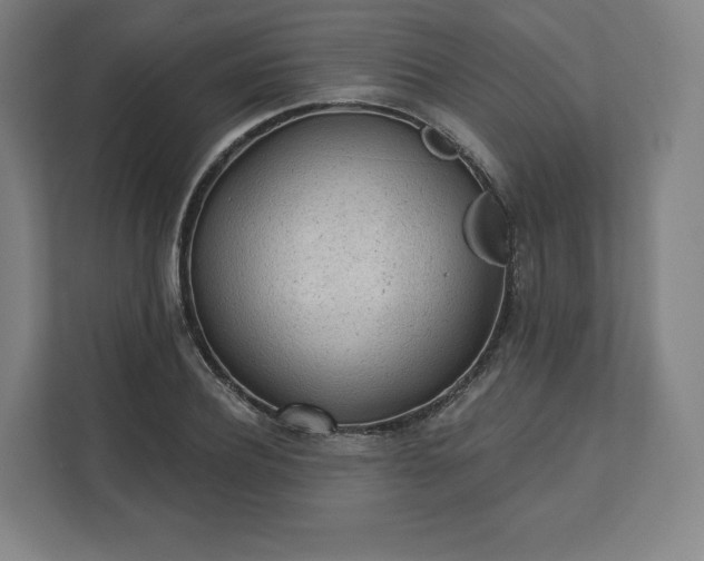 X0000112160932200908211431
