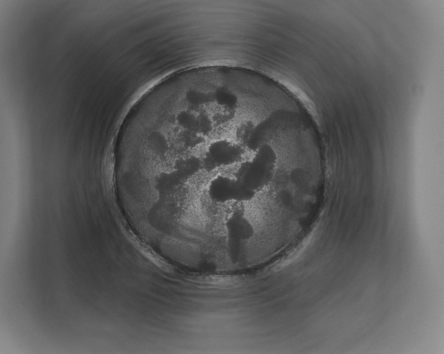 X0000112160933200908211431