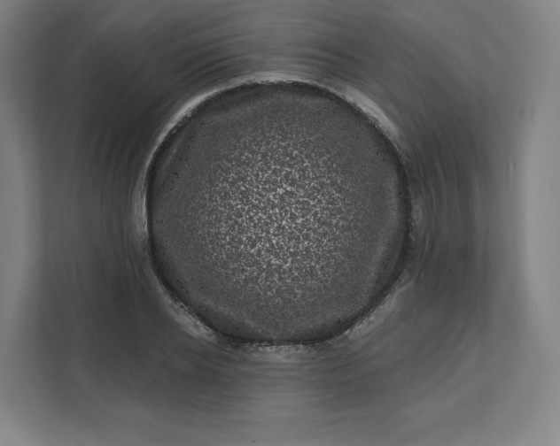X0000112160934200908211431