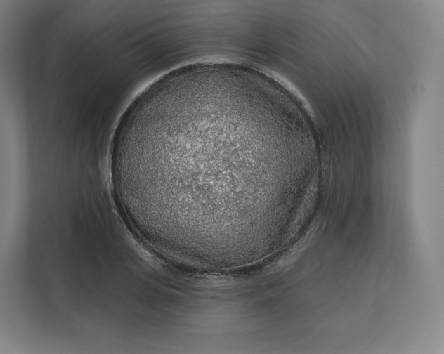 X0000112160935200908211431
