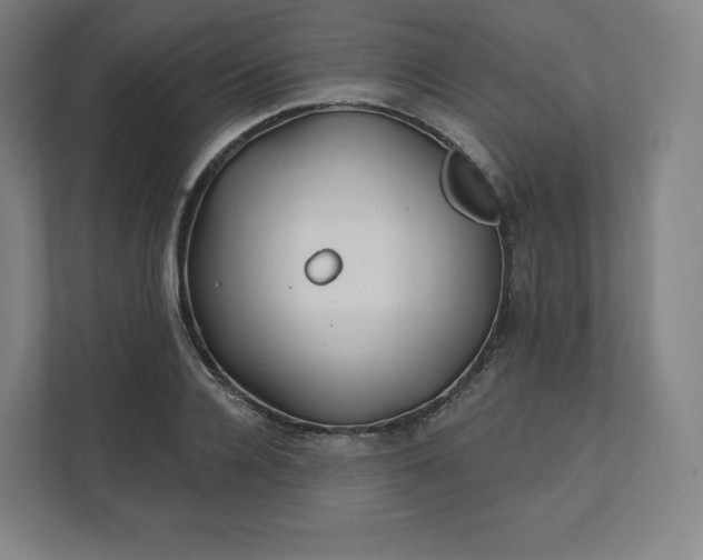 X0000112160936200908211431