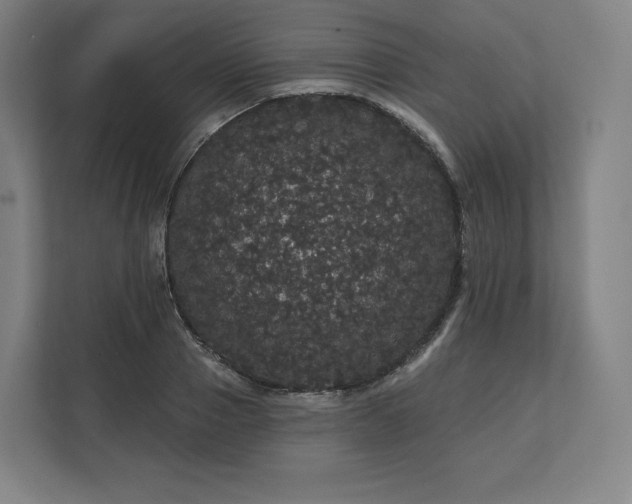 X0000112160937200908211431