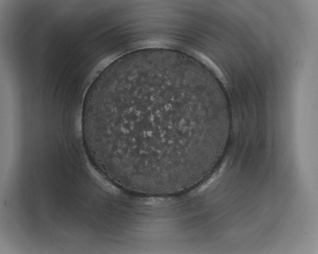 X0000112160938200908211431
