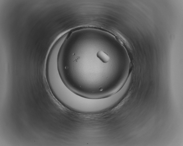 X0000112160940200908211431