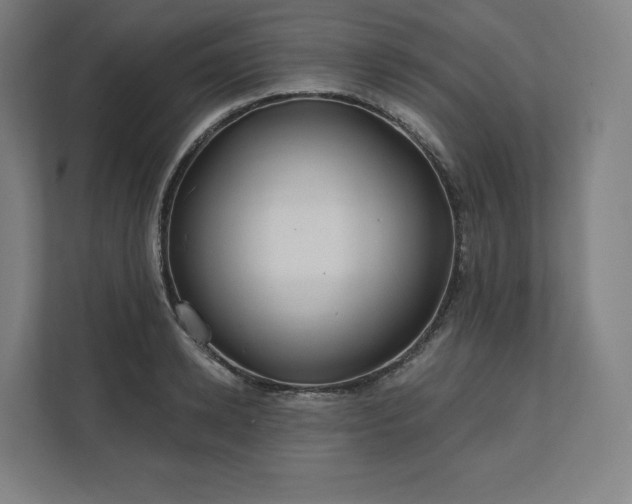 X0000112160942200908211431