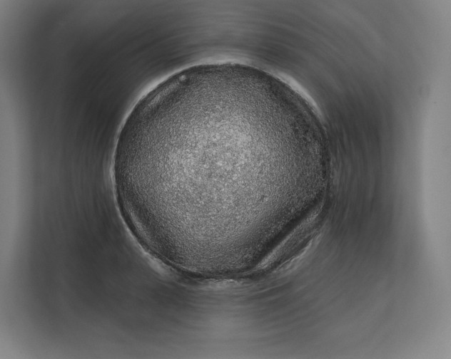 X0000112160943200908211431