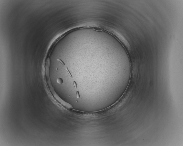 X0000112160944200908211431