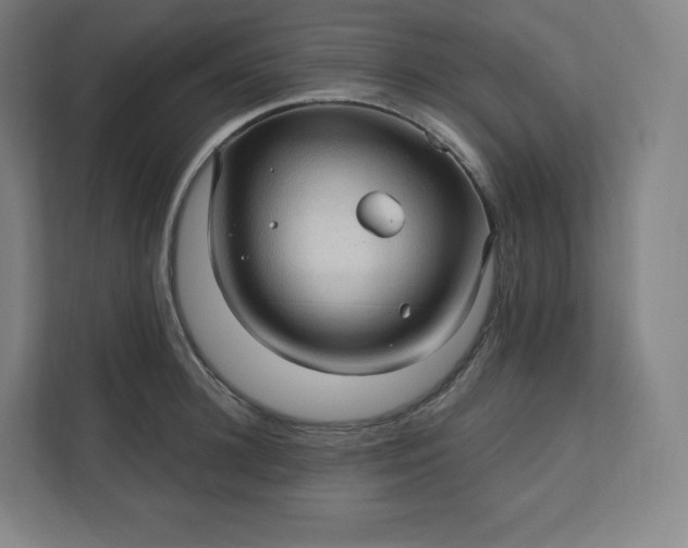 X0000112160948200908211431