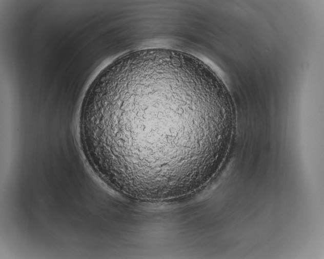 X0000112160949200908211431