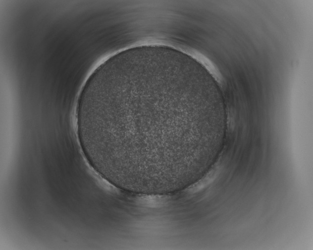 X0000112160950200908211431